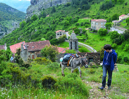 Korsika – Outdoorparadies mit Traumstränden