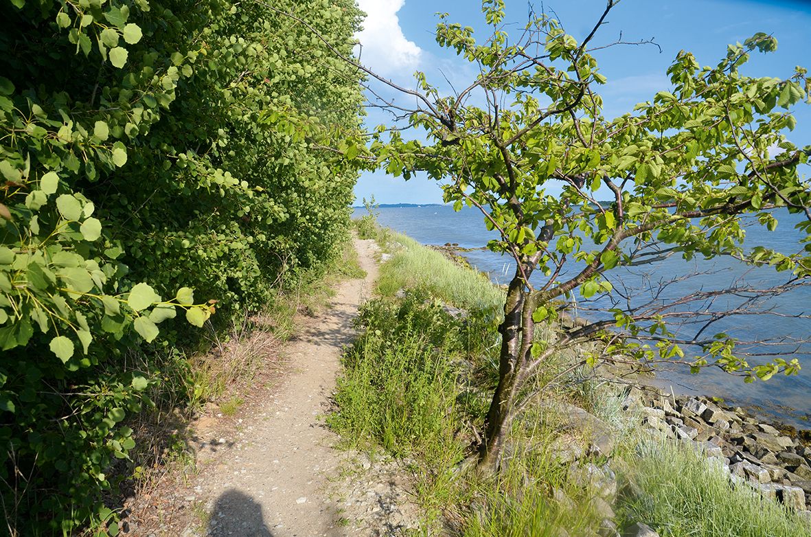 Wandern auf Rügen