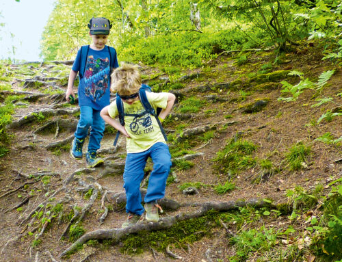 Updates zu »Naturzeit mit Kindern: Grüne Oasen im Ruhrgebiet«