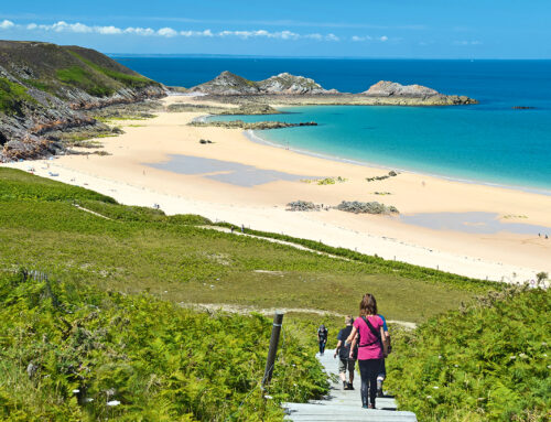 Updates zu »Naturzeit erleben: Bretagne«