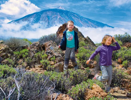 Updates zu »Naturzeit mit Kindern: Teneriffa