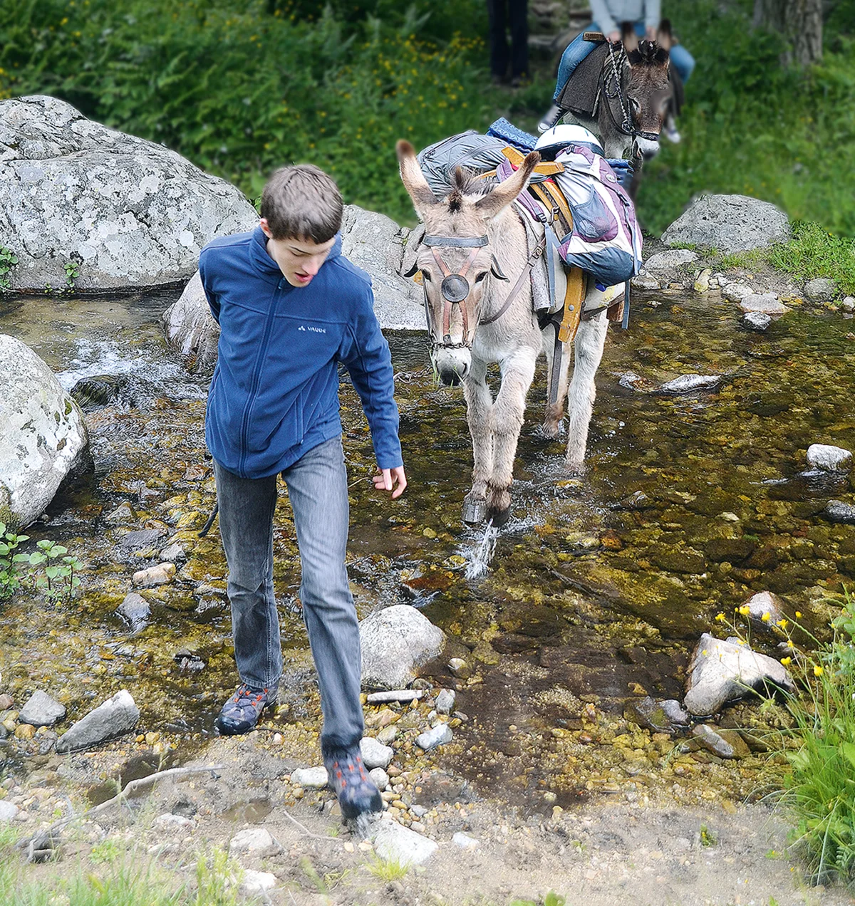 Mutprobe für Feliceto: Die meisten Esel sind wasserscheu und werden sich weigern, einen Bach zu durchqueren.