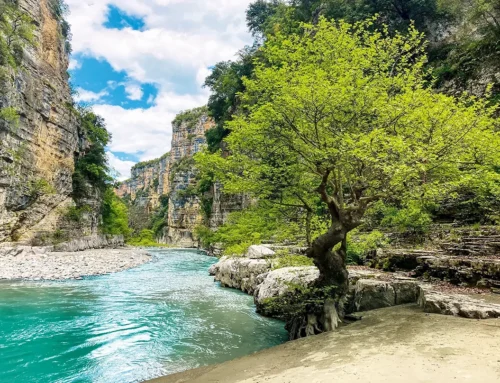 Updates zu »Naturzeit erleben: Albanien«